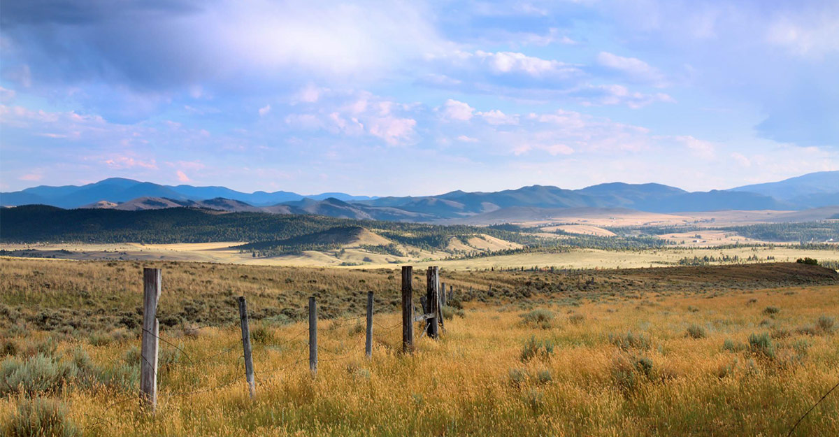 Montana landscape with field and mountains